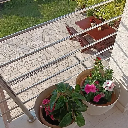 Marica